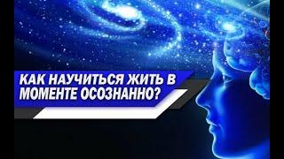 ПРАКТИКА ОСОЗНАННОСТИ | Как НАЧАТЬ жить В МОМЕНТЕ счастливой ЖИЗНЬЮ?