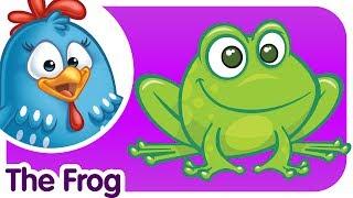 The Frog Doesn't Wash His Feet - Lottie Dottie Chicken - Kids songs and nursery rhymes in english