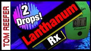 Reef Tank Parameters LANTHANUM CHLORIDE ! will REMOVE PHOSPHATE! Nano Reef