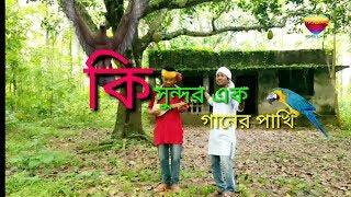 কি সুন্দর এক গানের পাখি । Ki Sundor Ek Ganer Pakhi Bnagla  Hit Song 2020