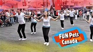 KOLBASTIBeautiful Turkish Boys & Girls Street DanceKolbastı DansHarika dans| FUN Pets Canada