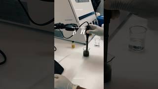 Silage Research Day 4