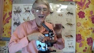 Have Problems with Insects? Need Help? Do you hate insects?  Do you like insects?