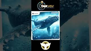 Meta Force Meta Whale Fork 2 Update #metaforce #metawhale #ces #bitcoin #teamyay #tactile #mfs #hc