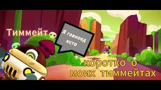 Коротко о моих тиммейтов