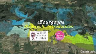 Wine Scholar Guild Bourgogne Master-Level | Meursault : An Introduction | Burgundy Wine Study