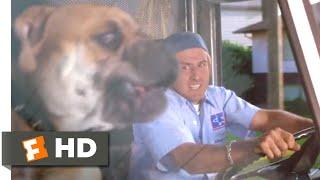 See Spot Run (2001) - Whose Dog Is That? Scene (5/8) | Movieclips