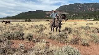 Stardust: A Client’s Horse in Training at Rising K Ranch