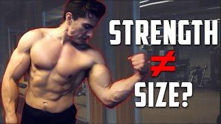 Does Strength = Size?