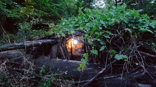 SOLO survival.I Making a SECRET SHELTER under a FALLEN TREE | covered with vines |...