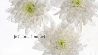 Francis Cabrel - Je l'aime à mourir (Lyrics vidéo officielle)