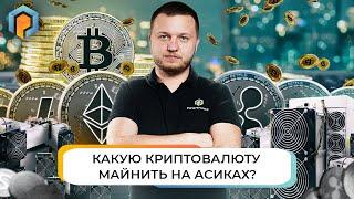 Биткоин или Альткоины? Какую валюту майнить на Асиках? Майнинг криптовалюты. Promminer