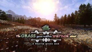 Skyrim Mods: New Ultra Realistic Grasses on PC and XBOX!