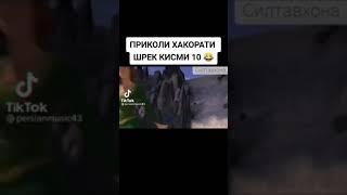 ШРЕК АКОРАТИ  КИСМИ  10