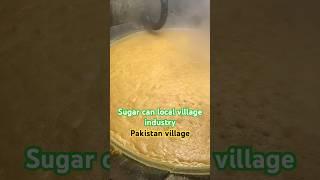 Pure Jose from Sugar Can Cooking Small industry || Village life style |C12H22O11