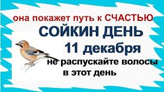 СОЙКИН ДЕНЬ 11 декабря. Прочитайте свою СУДЬБУ, заглянув в эти ЗЕРКАЛА.Приметы