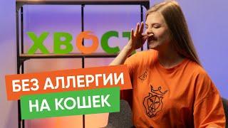 Как избавиться от аллергии на кошек и другие новости "Хвост Ньюс" #132