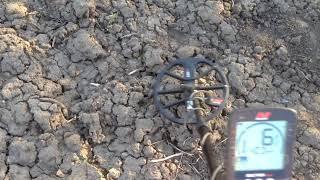 Minelab Equinox 600 и X-terra 505, крестик.