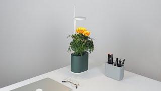 NANO GARDEN | From seed to plant in a tiny smart garden | Kickstarter | Design & Tech