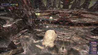 KSNM30 - Double Dragonian - Horizon XI destroyers ffxi