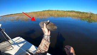 Pouldeau *** Florida's most overlooked Game bird *** Hunting Water Hen from a Boat