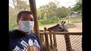 First Visit to Ohio | The Cincinnatian Hotel Room Tour | Feeding a Giraffe at Cincinnati Zoo