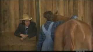 WKUK - Horses Love Stegosaurus