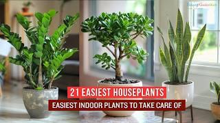 21 Easiest Houseplants || Easiest Indoor Plants to Take Care Of