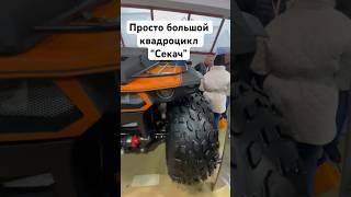 Квадро-вездеход “Секач” на выставке Поехали 2023 #atv #квадроцикл #секач #вездеход