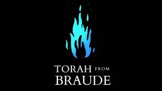 Noach - Conscience of the World - Torah from Braude