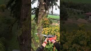 New Husqvarna T540 Mark 3 tree removal climber arborist logger  