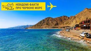 Невідомі факти про Червоне море! // Чи є життя зранку на планеті