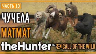 theHunter Call of the Wild #10  - Оскаленные Клыки - Кoмпозиции из Чучeл