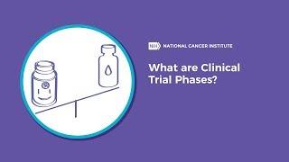 What Are Clinical Trial Phases?