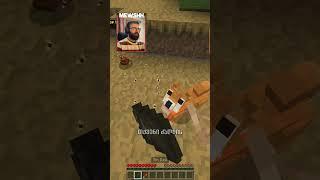 ამდენჯერ რატო ქნა    #ქართულად #minecraft #mewshh