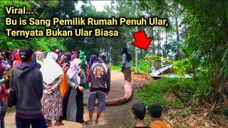 Viral Terbaru Gegerkan Warga.! Rumah Penuh Ular Ternyata Bukan Ular Biasa