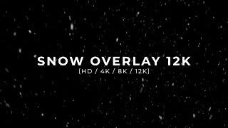 Snow Overlay HD / 4K / 8K / 12K