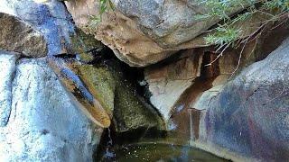 A Quiet Moment on Mount Lemmon