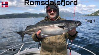 #20 Norwegen Angeln Fishing Romsdalsfjord Tour 3 | Tag 1 | Seelachs Köhler Pollack