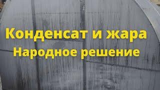 Как спасти растения в теплице от жары и конденсата