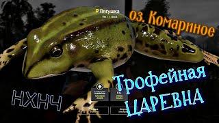 Трофейная ЛЯГУШКА на Комарином озере. Троф лягушки. Русская Рыбалка 4. Комаринка. Комариное. РР4. РР