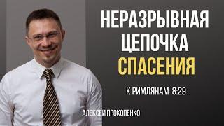 Неразрывная цепочка спасения | Римлянам 8:29-30 | Алексей Прокопенко