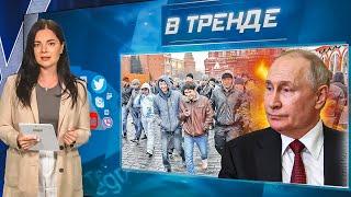 Львова-Белова изменила мужу с олигархом! Шойгу попал! Путин лишил людей света и воды | В ТРЕНДЕ