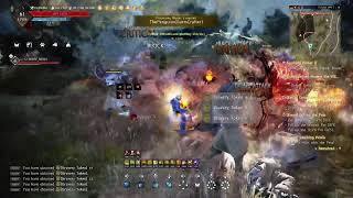 BDO Silver farming