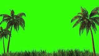 4k Tree And Grass | Green Screen | | Green Screen Animation |