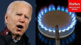 ‘Outrageous’: GOP Lawmaker Lambasts Biden For Declaring A War On Gas Stoves