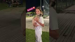 Kucak delisi ️#keşfet #reels #shorts #dog #viral #trending #tiktok #youtube #funny #foryou