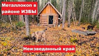 Как найти тонны рельс? Поиск металла в районе избы. Не все места еще выбиты.