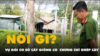 Vụ đòi cơ sở cây giống có 'chứng chỉ ghép cây': Sở Nông nghiệp và Môi trường tỉnh Hậu Giang nói gì?