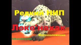 Редкий НИП - "Локе'нахак" - Местоположение.